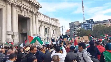 Download Video: Manifestazione pro Palestina a Milano, in piazza cori in arabo e cartelli contro Israele