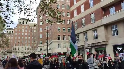 Thousands mass in central London for pro-Palestine march