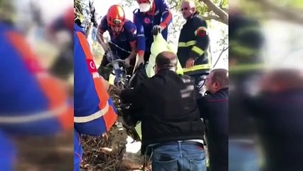 Un homme tombé d'un noyer à Gümüşhane est mort après être resté coincé dans le fer.