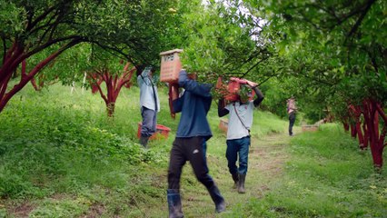 Wedding Plan The Series l EP5 [3 4] ENG SUB