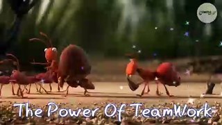 Teamwork and Leadership _ Animated short clip
