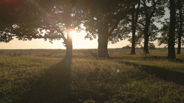 Soothing Ambient Music: Healing Frequencies for Stress Relief