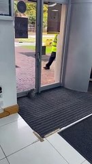 Le corps d'un écureuil qui claque se bat avec des portes