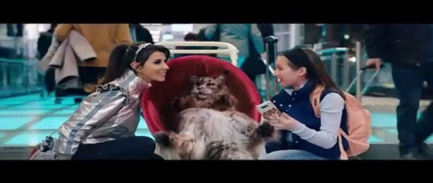 CHIEN ET CHAT (2024) : Bande-annonce du film avec Franck Dubosc et Philippe Lacheau
