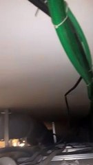 Cat Found Hiding Under the Roof