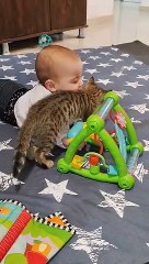 Two New Creatures Play Together