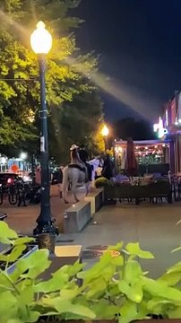 Horse Walks Into Dallas Bar