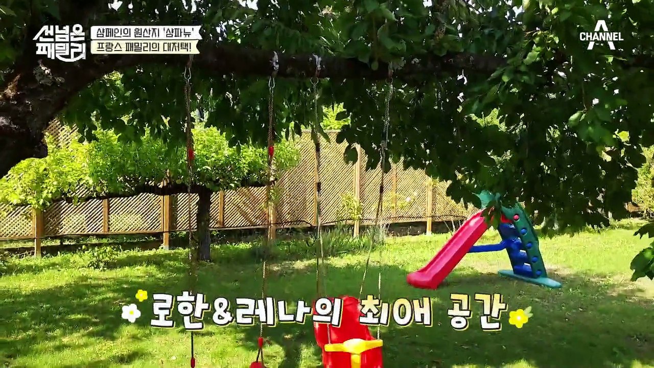 까다로운 프랑스 시아버지의 입맛을 사로잡은 이것은? 한국 며느리가 준비한 한식 다이닝...