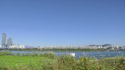 [날씨] 맑고 차차 추위 풀려...서래섬 수놓은 메밀꽃 / YTN