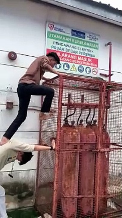 Cage Climb Rescue Of Cat