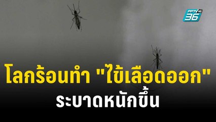 “โลกร้อน” สาเหตุ "ไข้เลือดออก" ระบาดหนักขึ้นทั่วโลก | ทันโลก EXPRESS | 22 ต.ค. 66