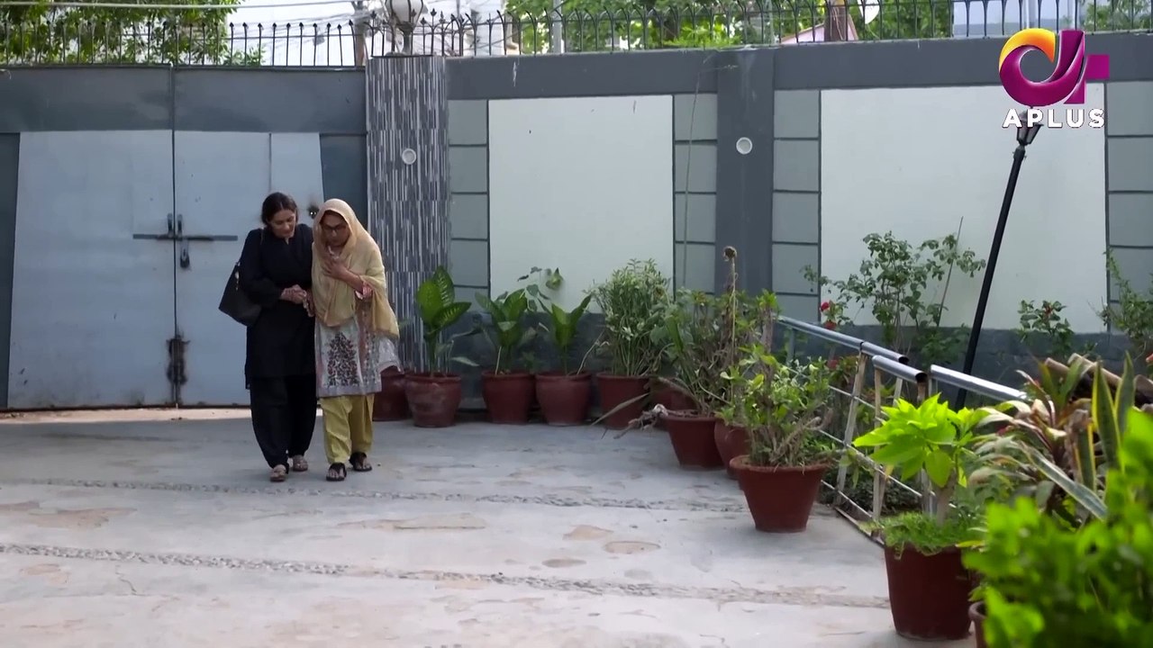 Mujhe Beta Chahiye - Episode 12