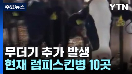 럼피스킨병 경기·충남 무더기 추가 발생...10곳으로 늘어나 / YTN