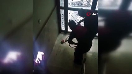 Bina girişinde yakalanan yılan doğaya salındı