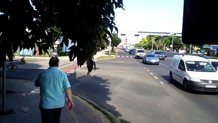 VID_20220610_155501-170802 - processed