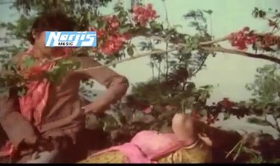 Thodi Si Zameen Thoda Aasmaan / Lata Mangeshkar /1980 Sitara