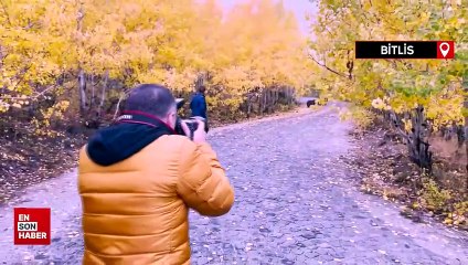 Bitlis'te gelin ve damadın fotoğraf çekimine ayı engelli