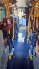 Des enfants crient de terreur lors l’eau monte dans leur bus