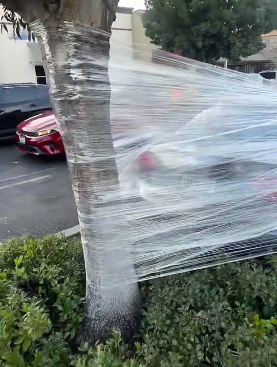 New Take On A Car Wrap