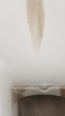 CAM - Comment enlever les traces de calcaire dans les toilettes ?