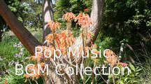 ハート・エレキ  音楽 JPOP BGM  AKB48, Relaxing Music - Instrumental BGM, music