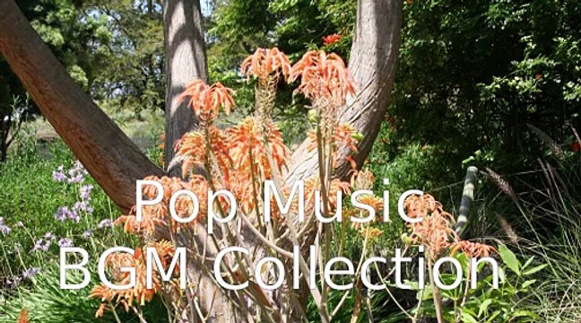 ハート・エレキ 音楽 JPOP BGM AKB48, Relaxing Music - Instrumental BGM, music