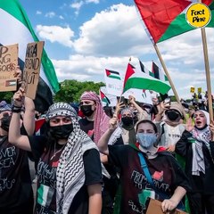 Stars Who Stood with Palestine: A Closer Look