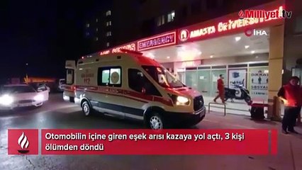 Eşek arısı sonları oluyordu! 3 kişilik aileyi ölüme götüren olay