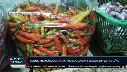 Terus Merangkak Naik, Harga Cabai Tembus Rp 65 Ribu/Kg