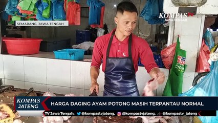 Harga Daging Ayam Potong Masih Terpantau Normal