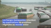 Le Mississippi, veine de l'Amérique, manque désespérément d'eau