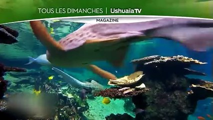 Une vie de bêtes