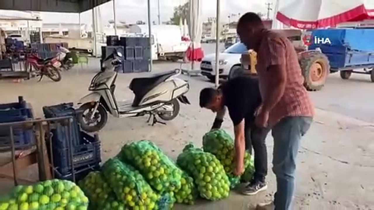 Les prix du citron ont chuté sur le marché des grossistes de Serik