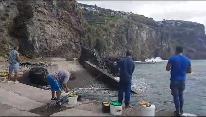 Cada vez mais pescadores juntam-se no cais da Ribeira Brava, após danificação das jaulas