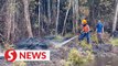 Raging forest fire in Kota Tinggi successfully extinguished by firefighters
