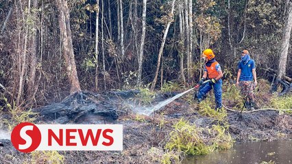 Raging forest fire in Kota Tinggi successfully extinguished by firefighters