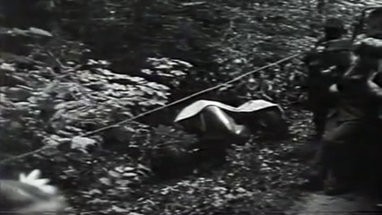 Christian Kautz's Fatal Crash @ Bremgarten 1948 (Aftermath)