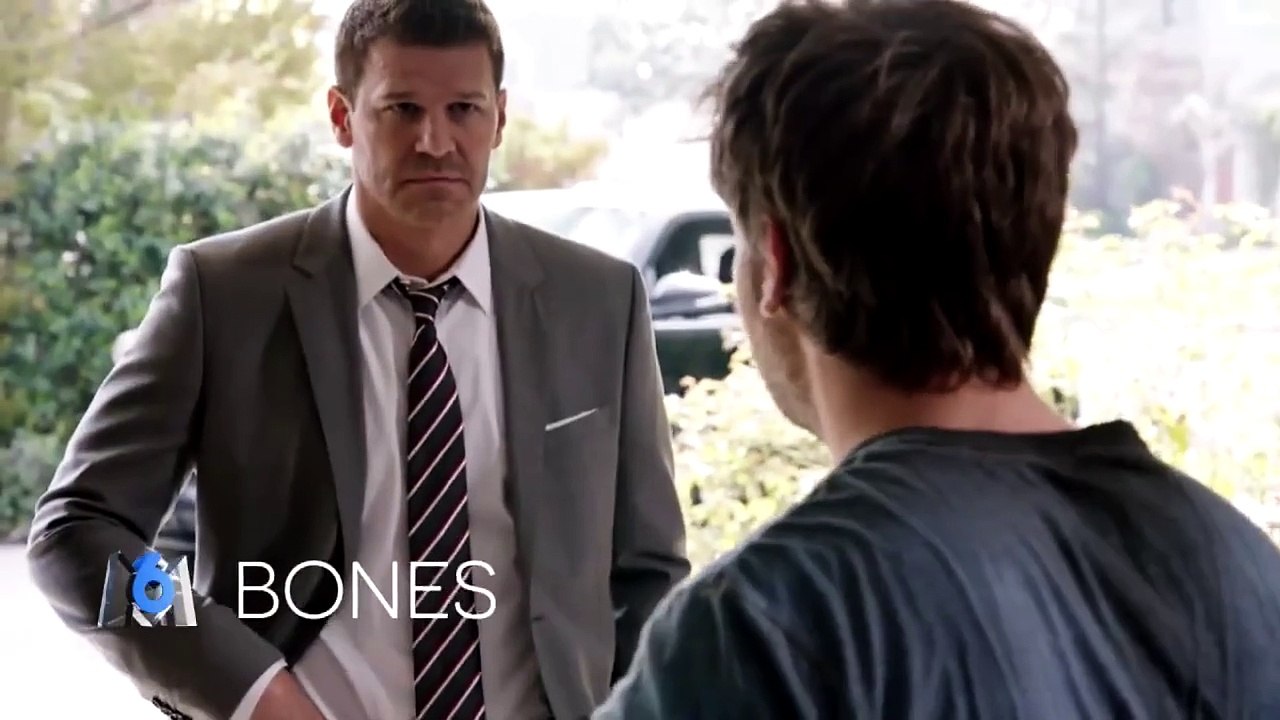 Bones