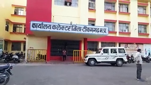 Plants and trees are being destroyed and chairs are being stolen.