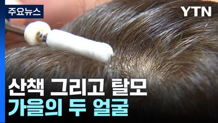 산책의 계절 vs 탈모의 계절...가을의 두 얼굴 / YTN
