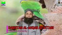3 Cheezain | 3 Things|Nice Video| Soban Attari | Dabistan Al Ahqar Al Attari | Muhammad Tariq Rashid