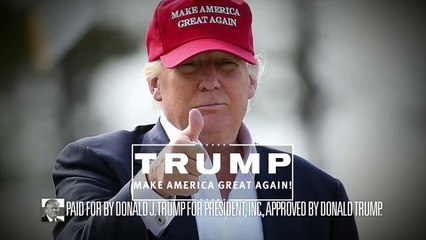 I'm Not Donald Trump and I Approve This Message (Meme Template)