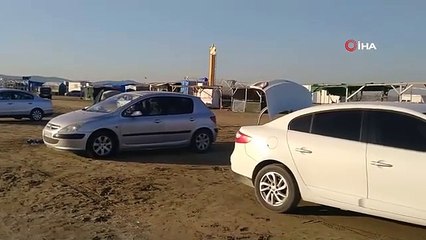 Hatay'da binlerce balık karaya vurdu