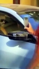 Can Yaman telefon fırlatma olayı ne, kimin telefonunu fırlattı?