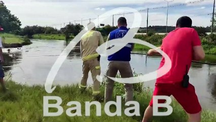 Vídeo mostra resgate de banhistas que estavam se afogando em rio na Grande Curitiba