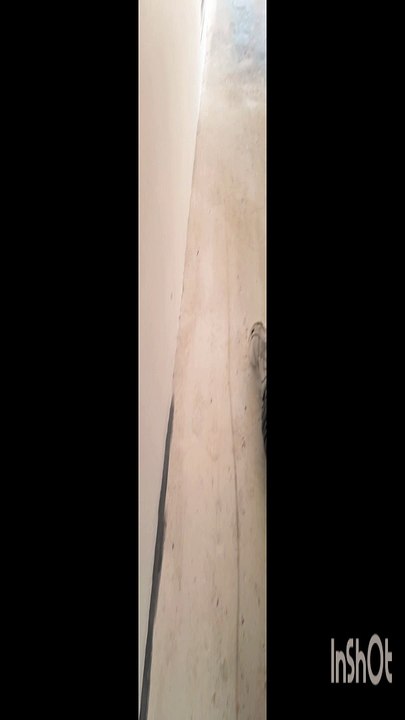 Before and after floor transformation