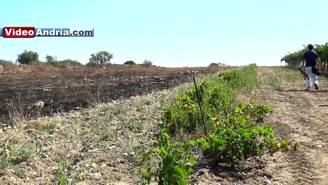 Andria Antica 13^ puntata: tombe preistoriche e daune a Santa Barbara (18 agosto 2011)