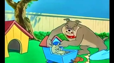 Tom and Jerry Cartoon - Hic cup Pup