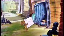 Tom and Jerry Cartoon, Tom and the Gold Fish (2)