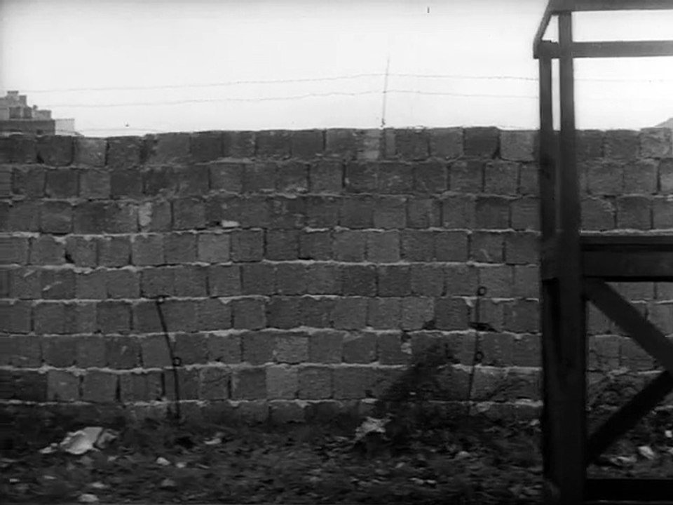 Verstummte Stimmen roger Fritz 1962